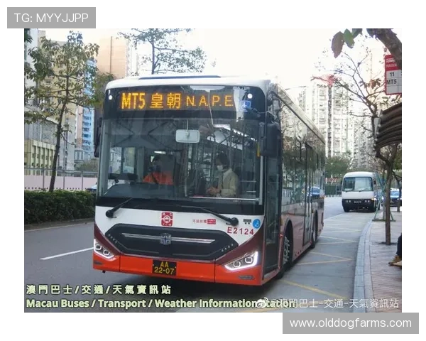 澳门置地广场位置交通指南，助您轻松规划您的到访路线与出行方案