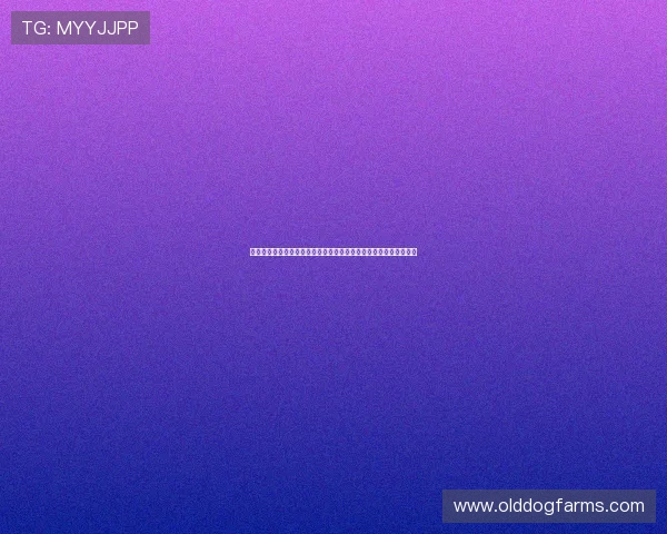 威尼斯海盗主题足球队：探索他们在世界杯中的精彩表现与战术分析